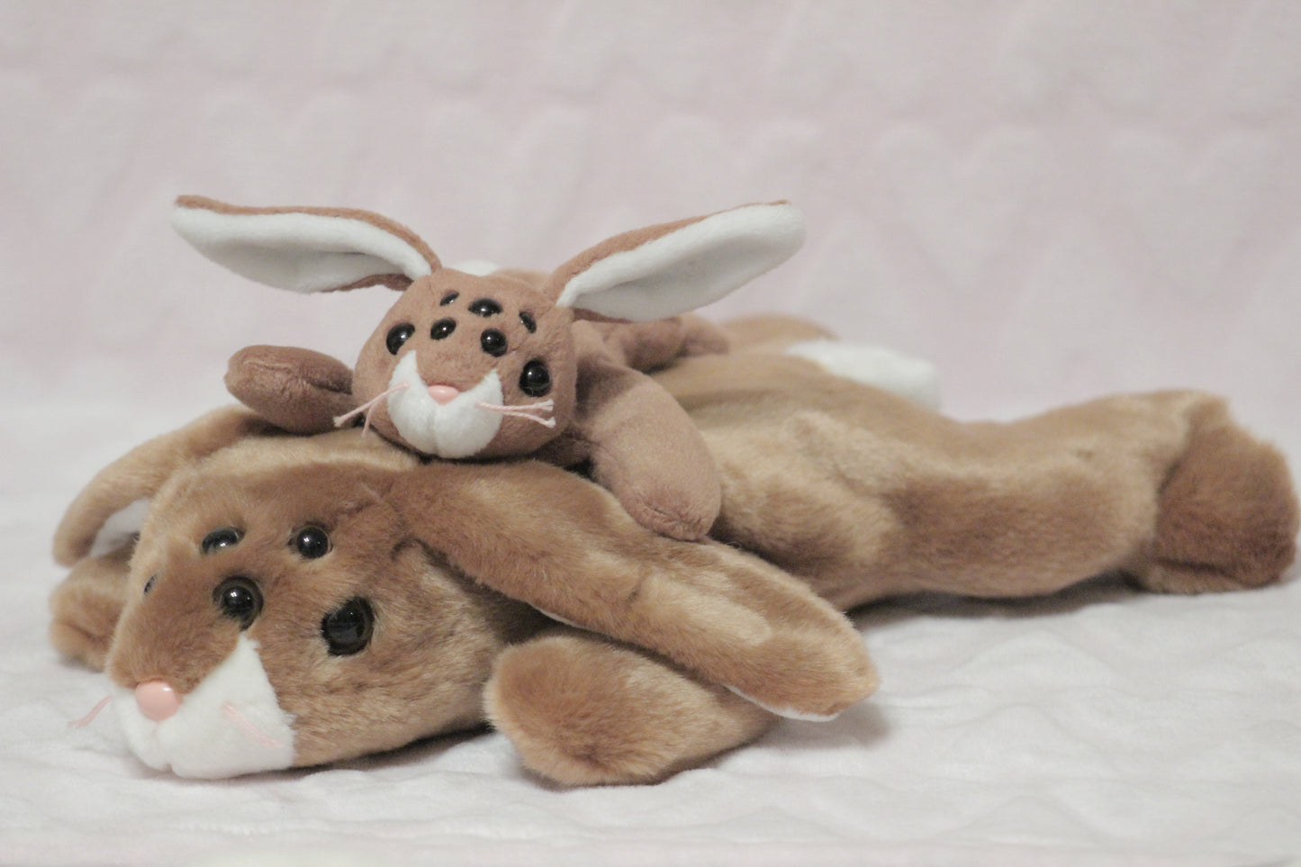 Extra eyes add on, for find or send in customs only!