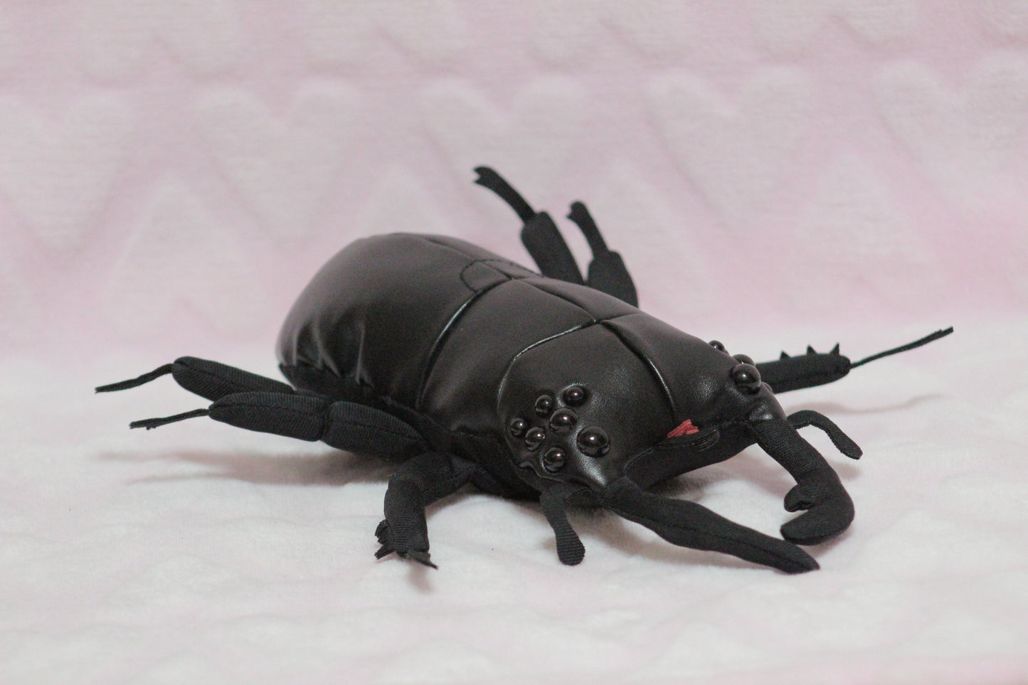 Extra eyes add on, for find or send in customs only!