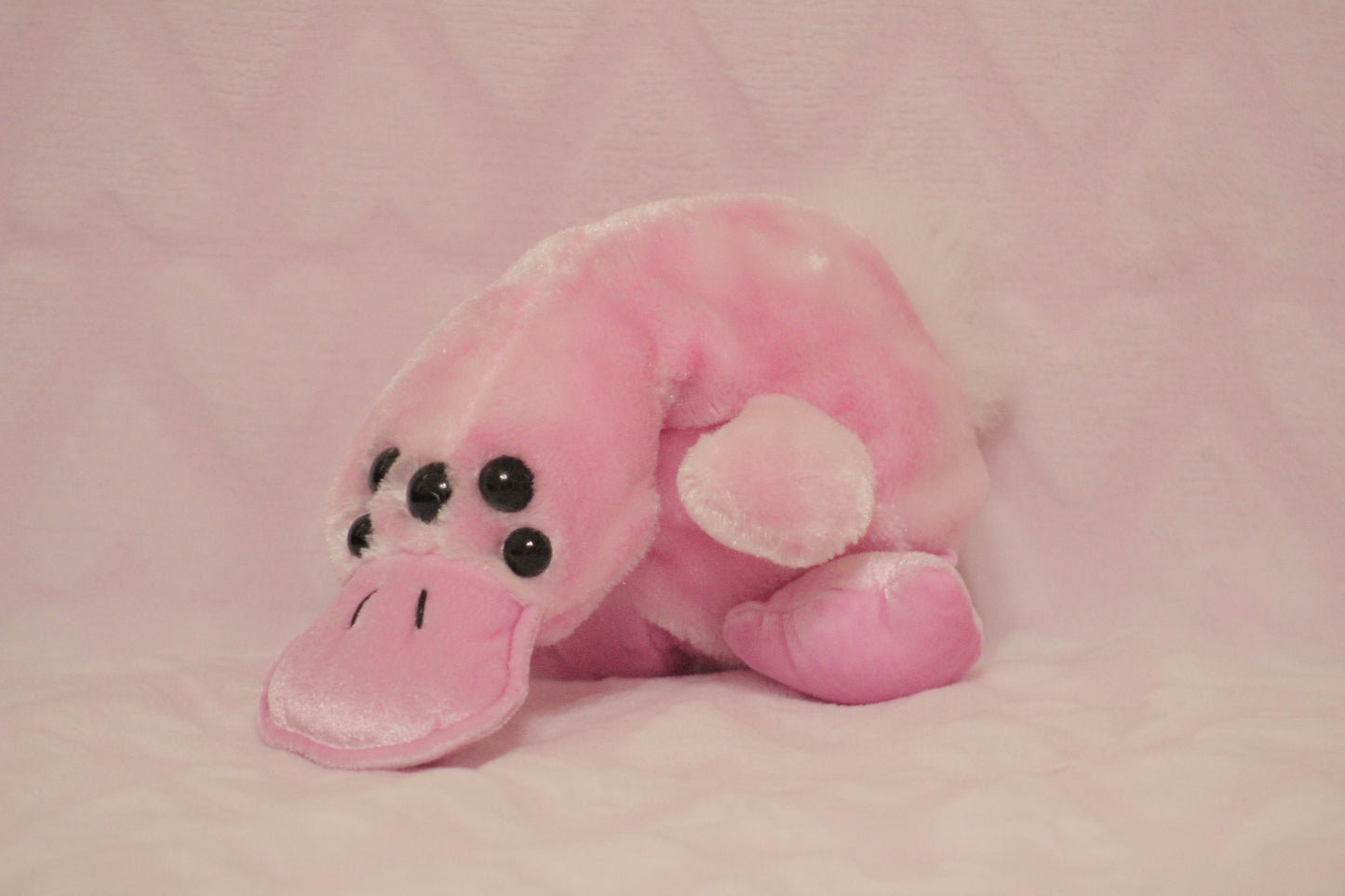 Extra eyes add on, for find or send in customs only!