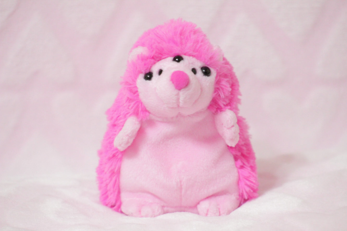 Extra eyes add on, for find or send in customs only!