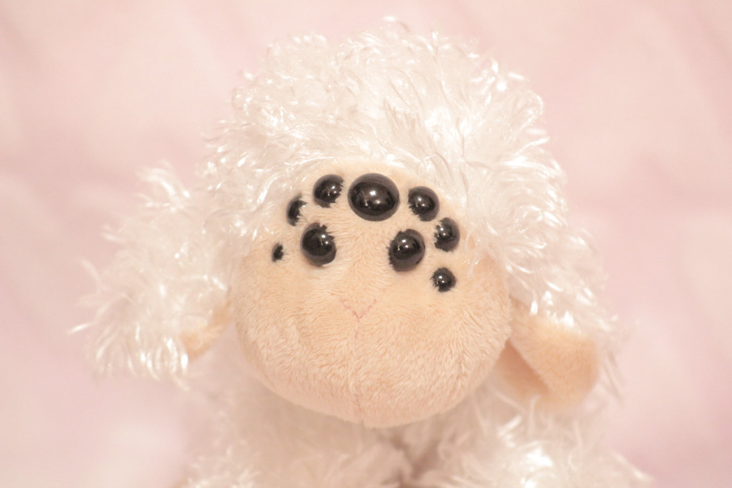 Extra eyes add on, for find or send in customs only!
