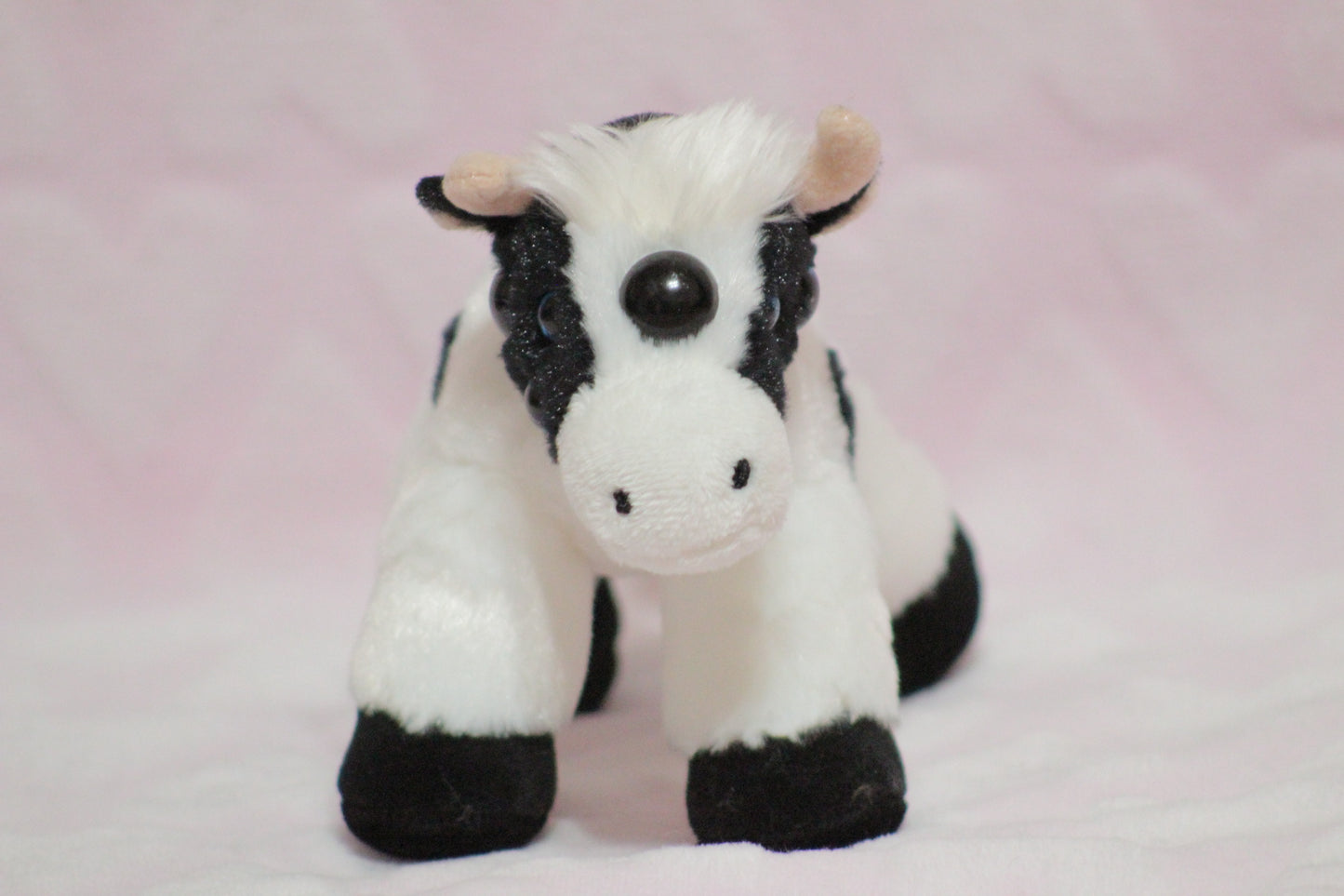 Extra eyes add on, for find or send in customs only!