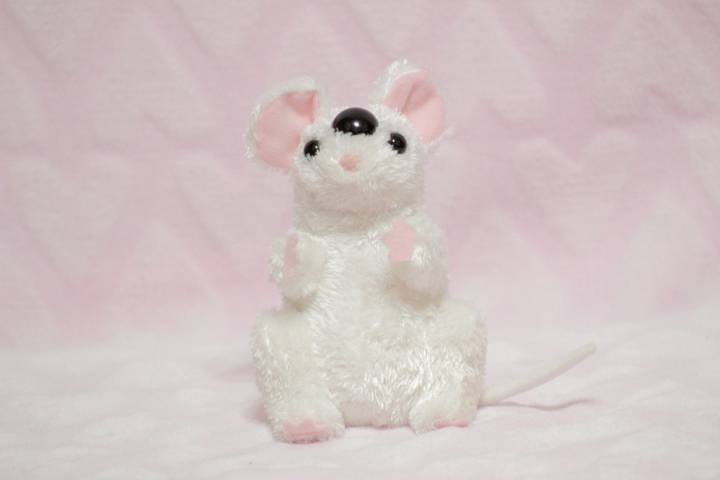 Extra eyes add on, for find or send in customs only!