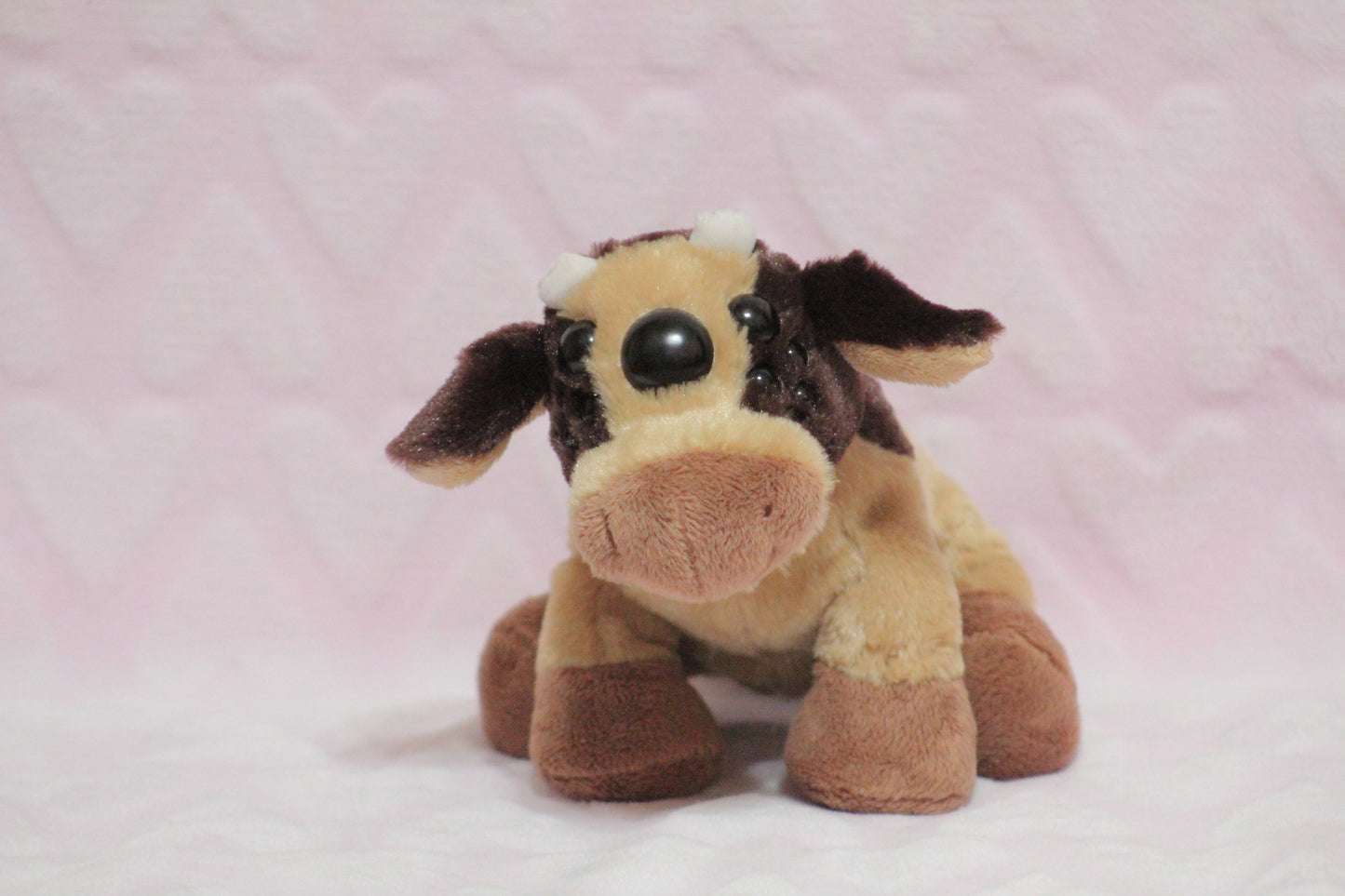 Extra eyes add on, for find or send in customs only!