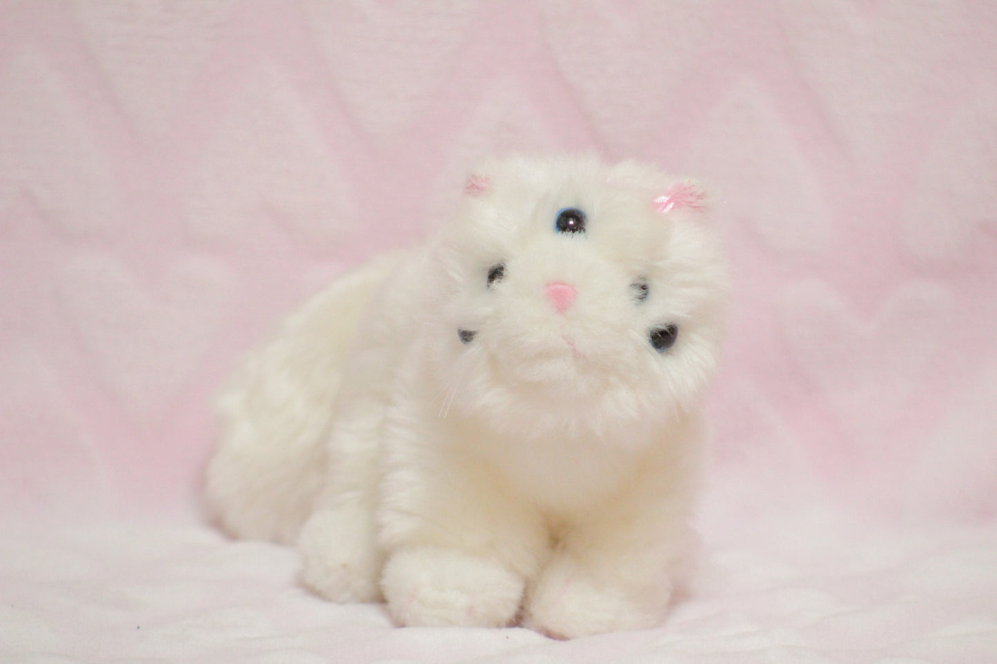 Extra eyes add on, for find or send in customs only!