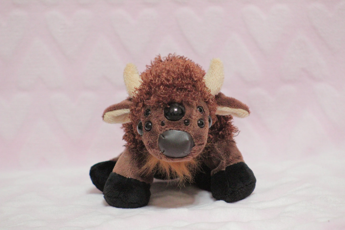 Extra eyes add on, for find or send in customs only!