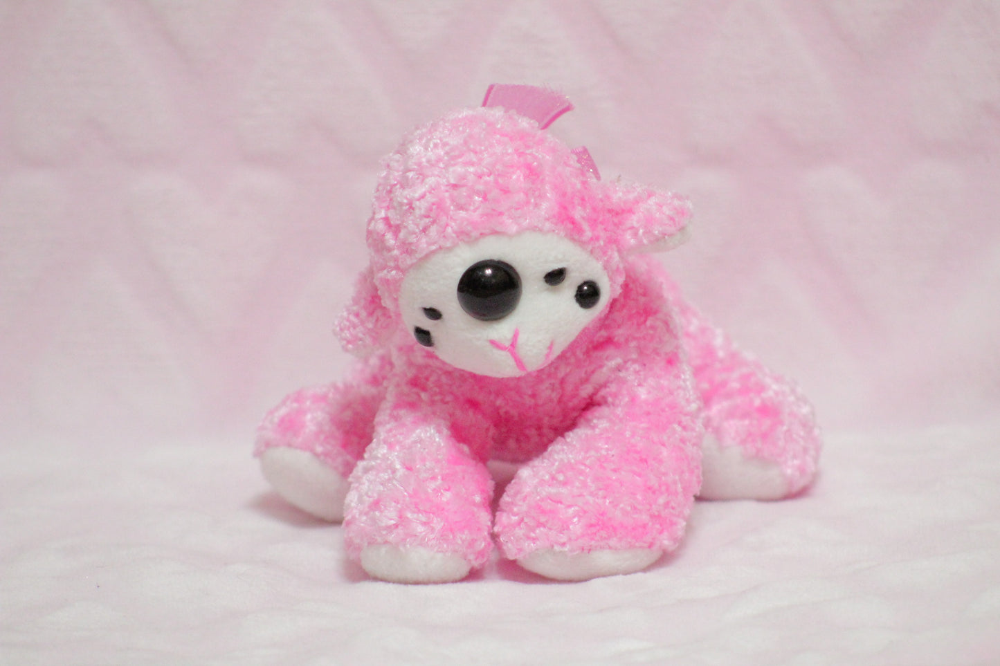 Extra eyes add on, for find or send in customs only!