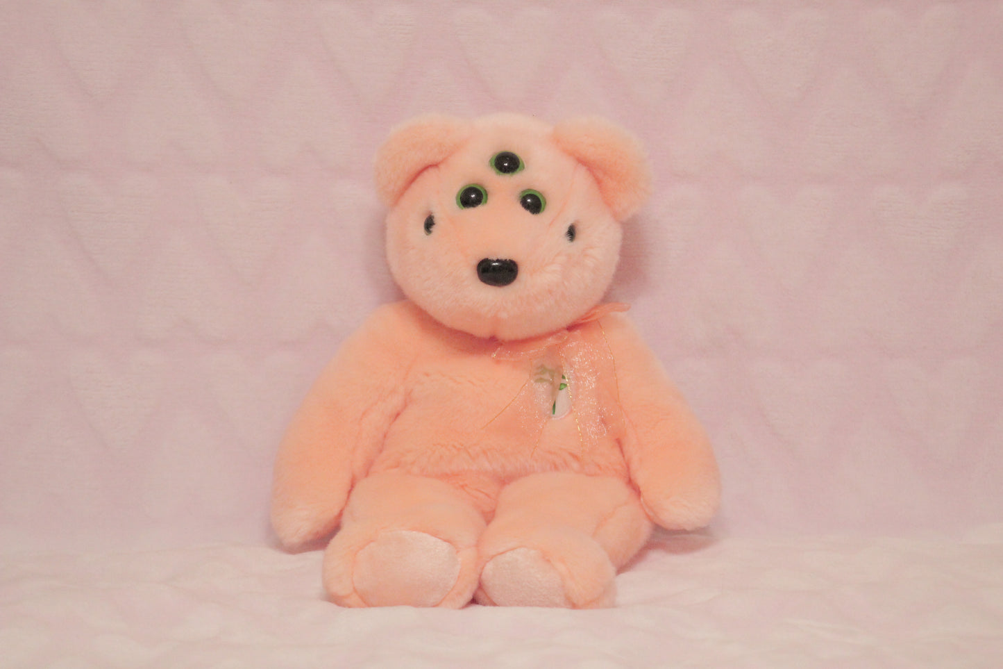 Extra eyes add on, for find or send in customs only!