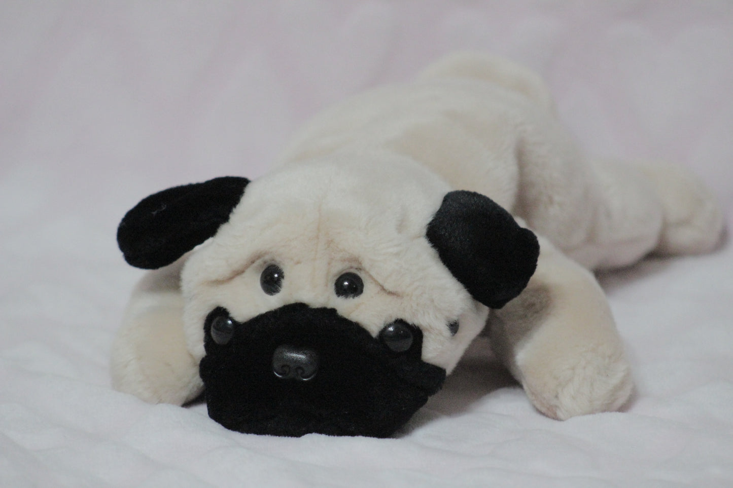 Extra eyes add on, for find or send in customs only!