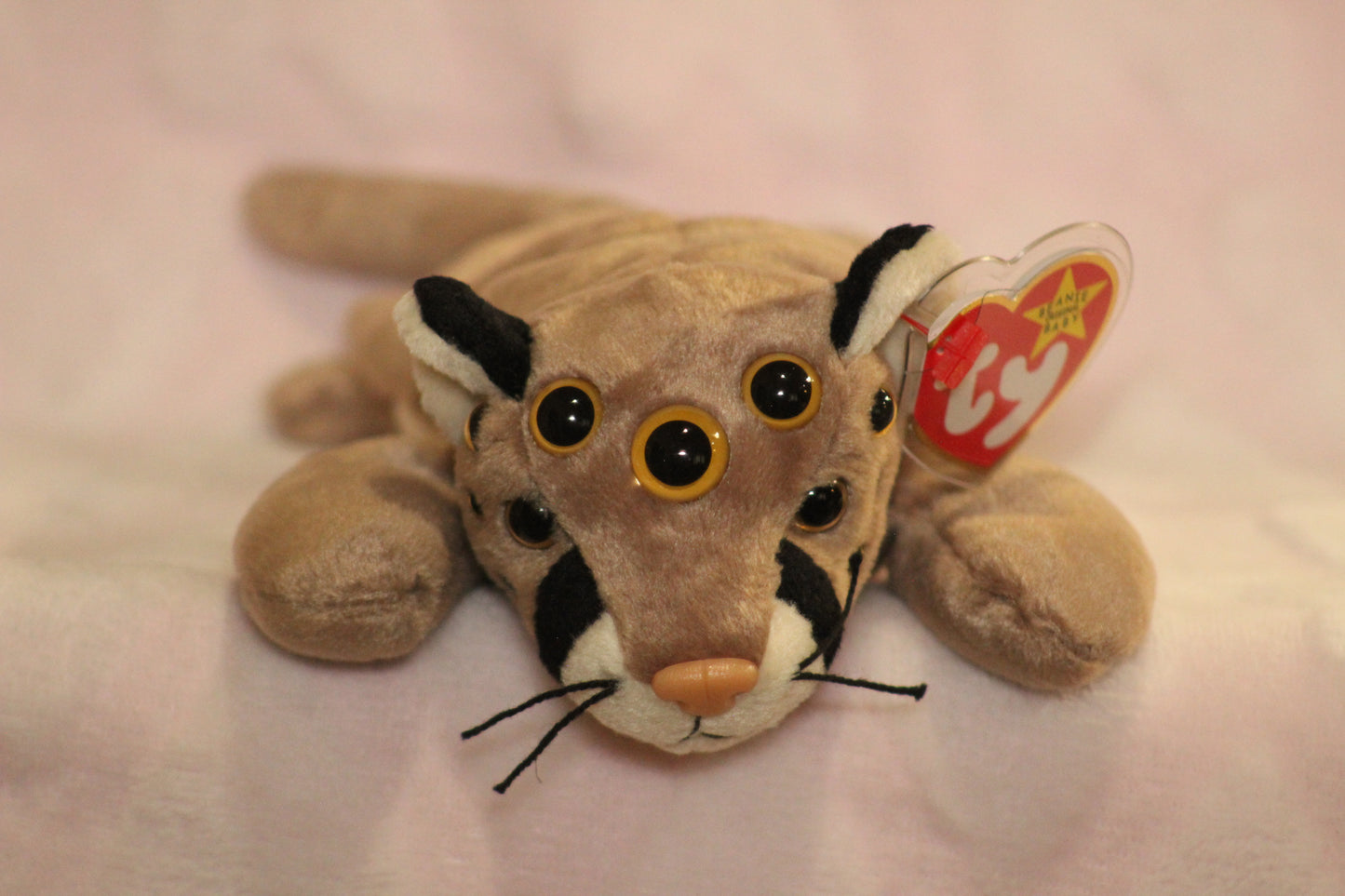 Mountain lion beanie baby
