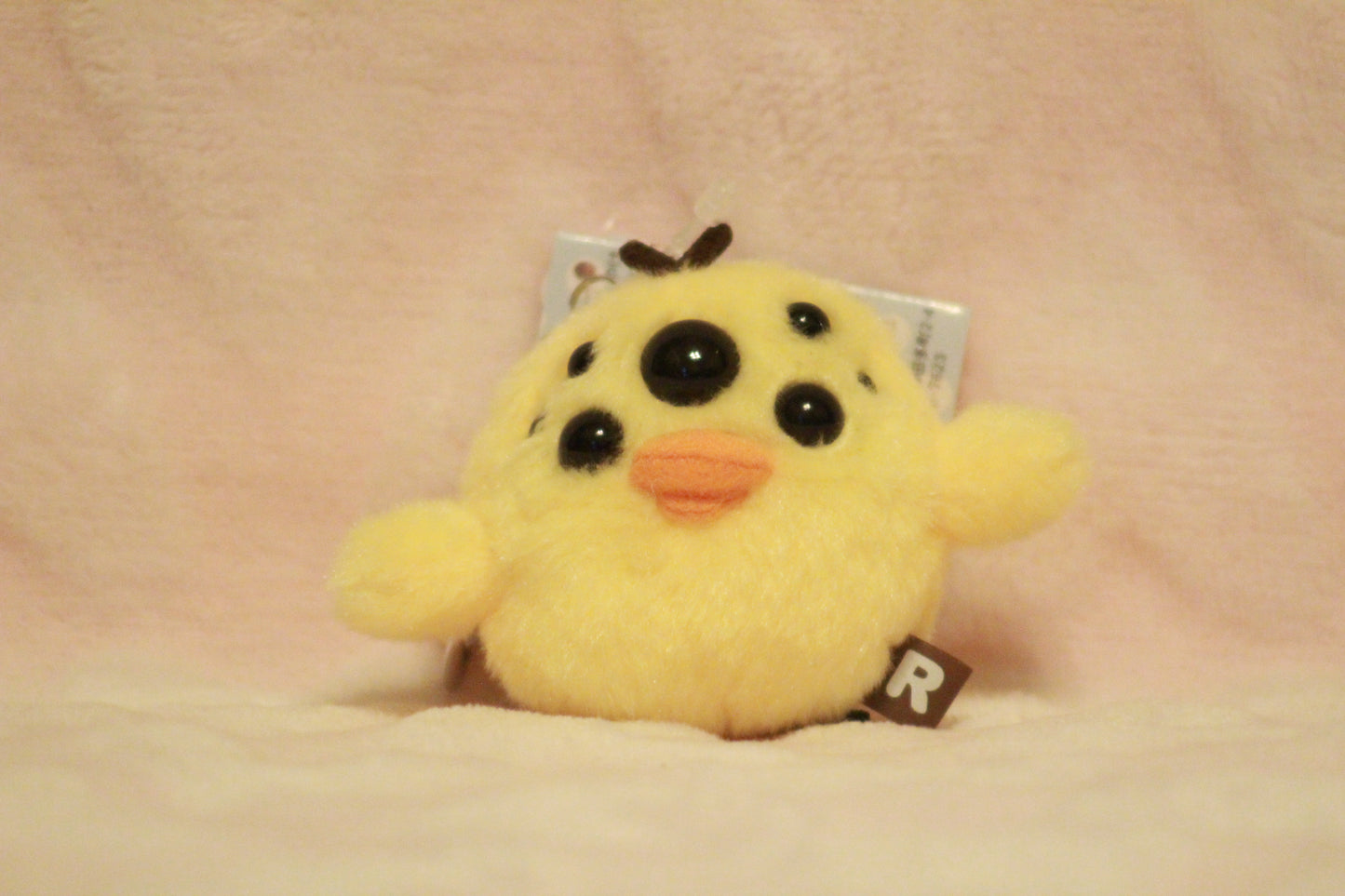Extra eyes add on, for find or send in customs only!