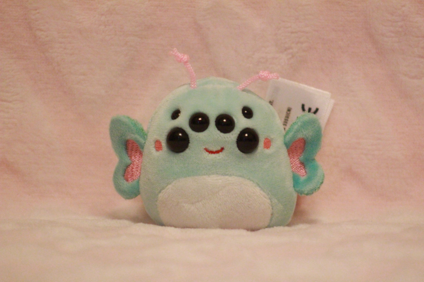 Extra eyes add on, for find or send in customs only!