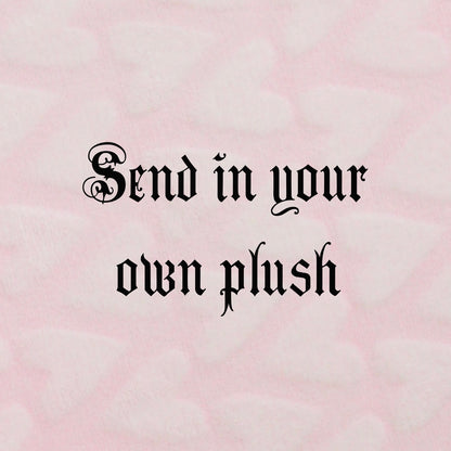 Send in your own plush custom/commission