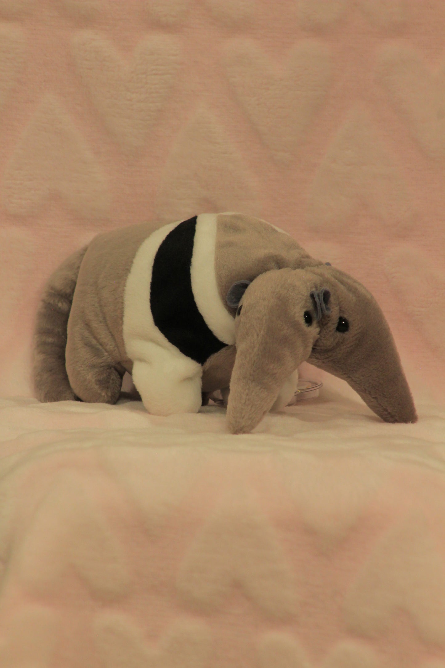 Ant eater beanie baby