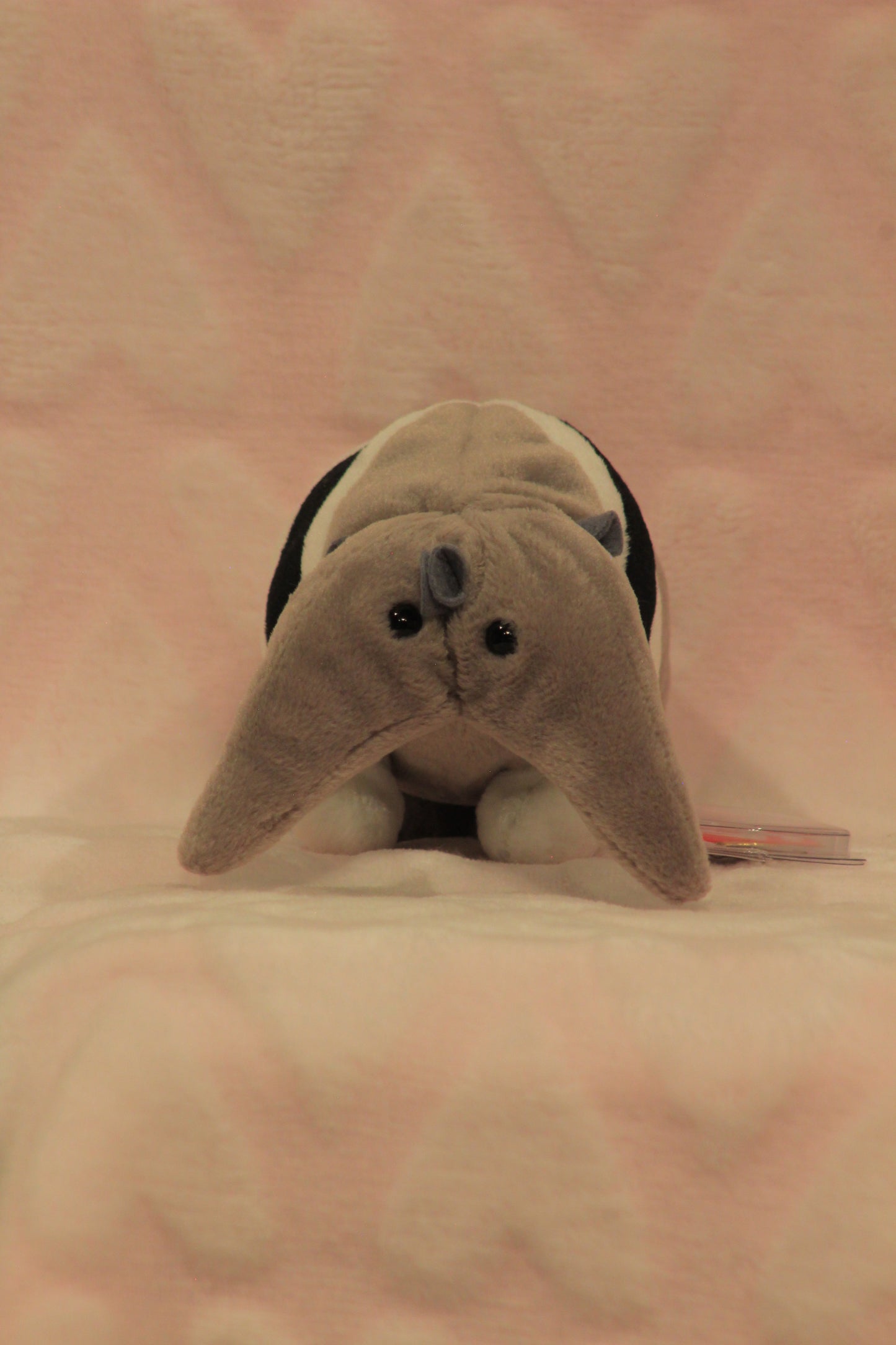Ant eater beanie baby