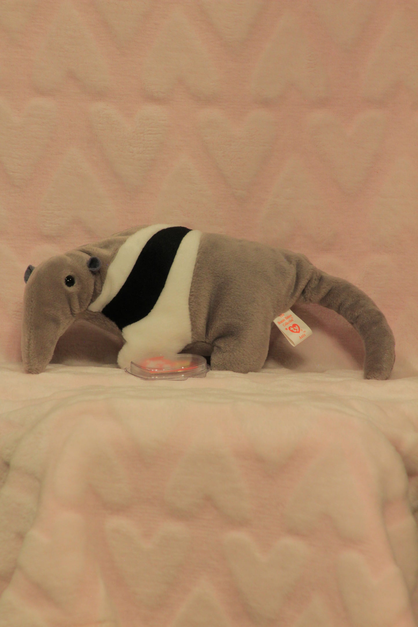 Ant eater beanie baby