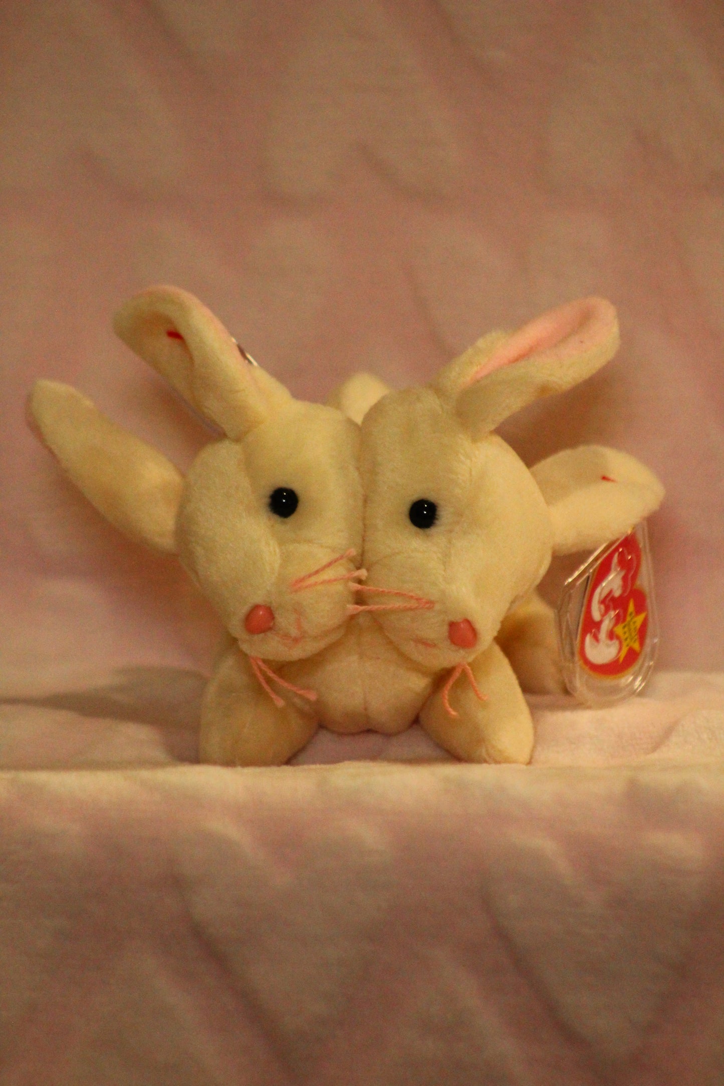 Bunny beanie baby