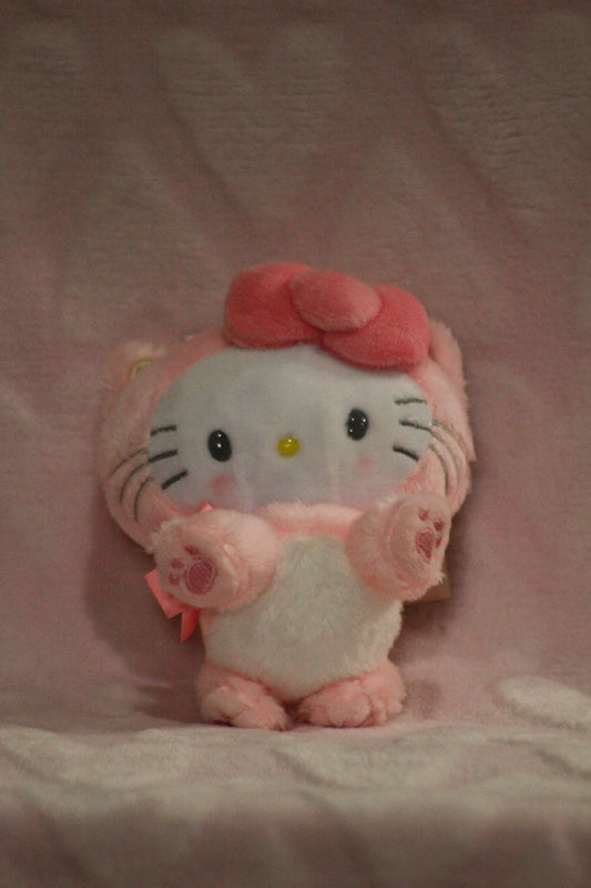 Cat clip on HK custom