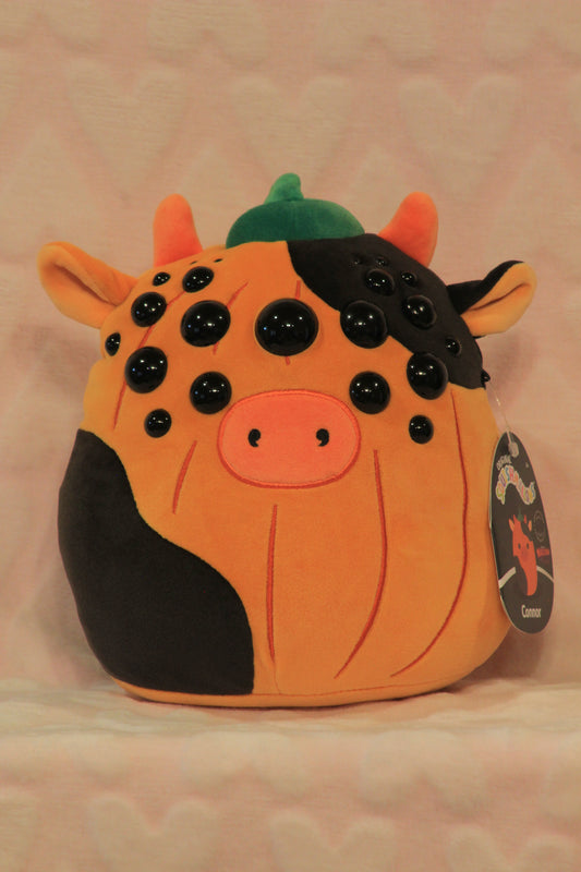 Small/medium pumpkin cow squish