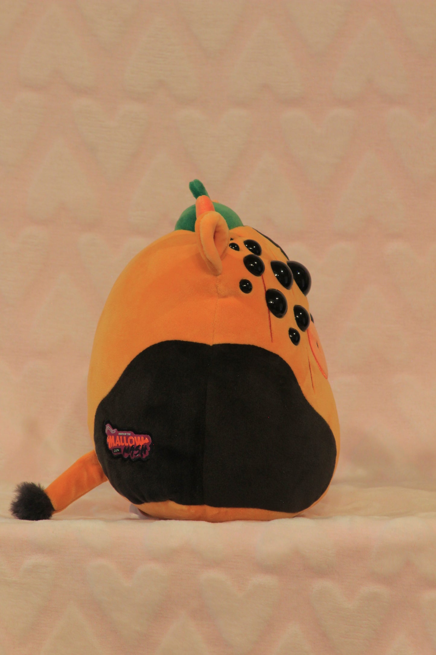 Small/medium pumpkin cow squish