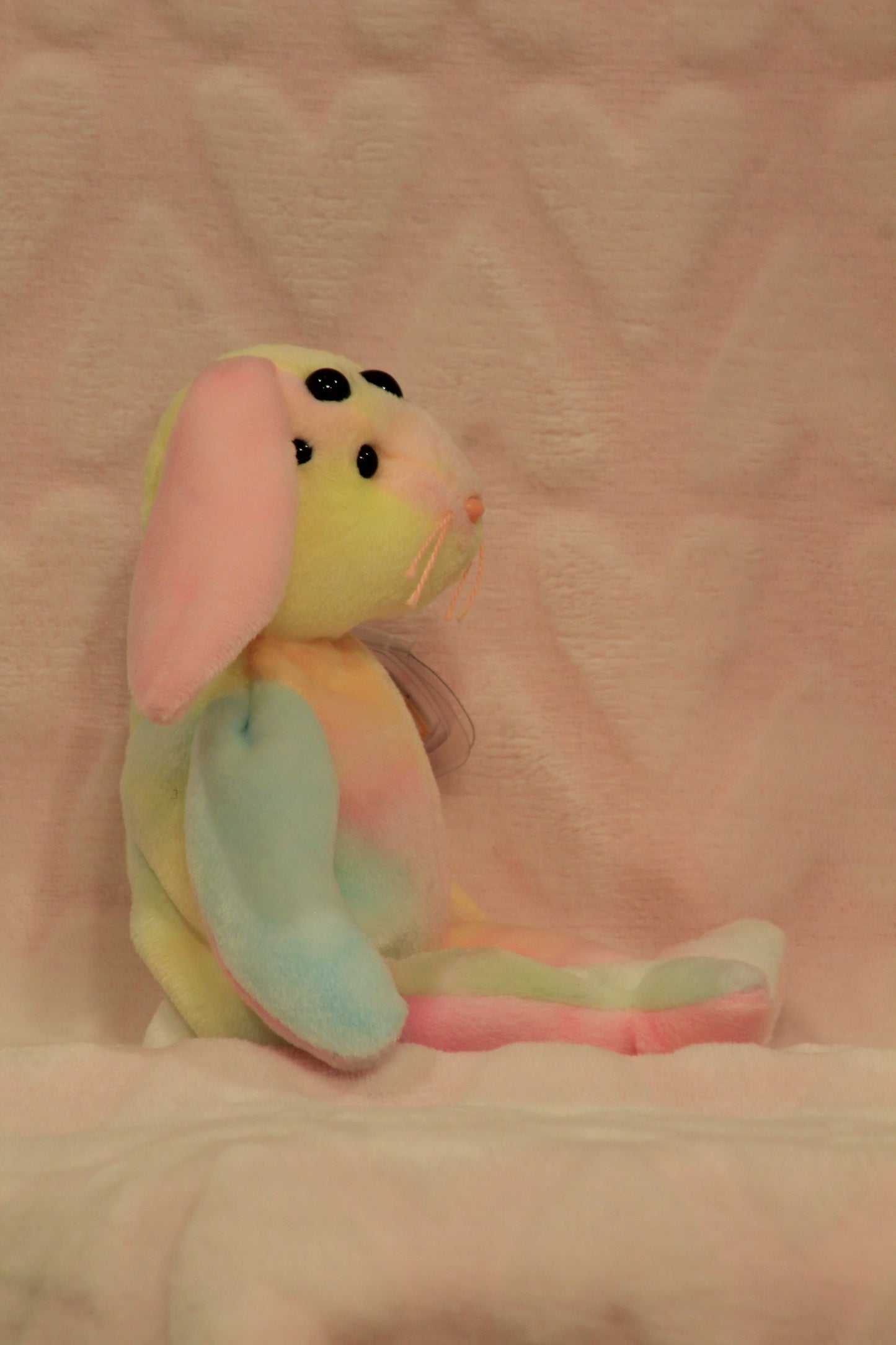 Rainbow beanie baby bunny