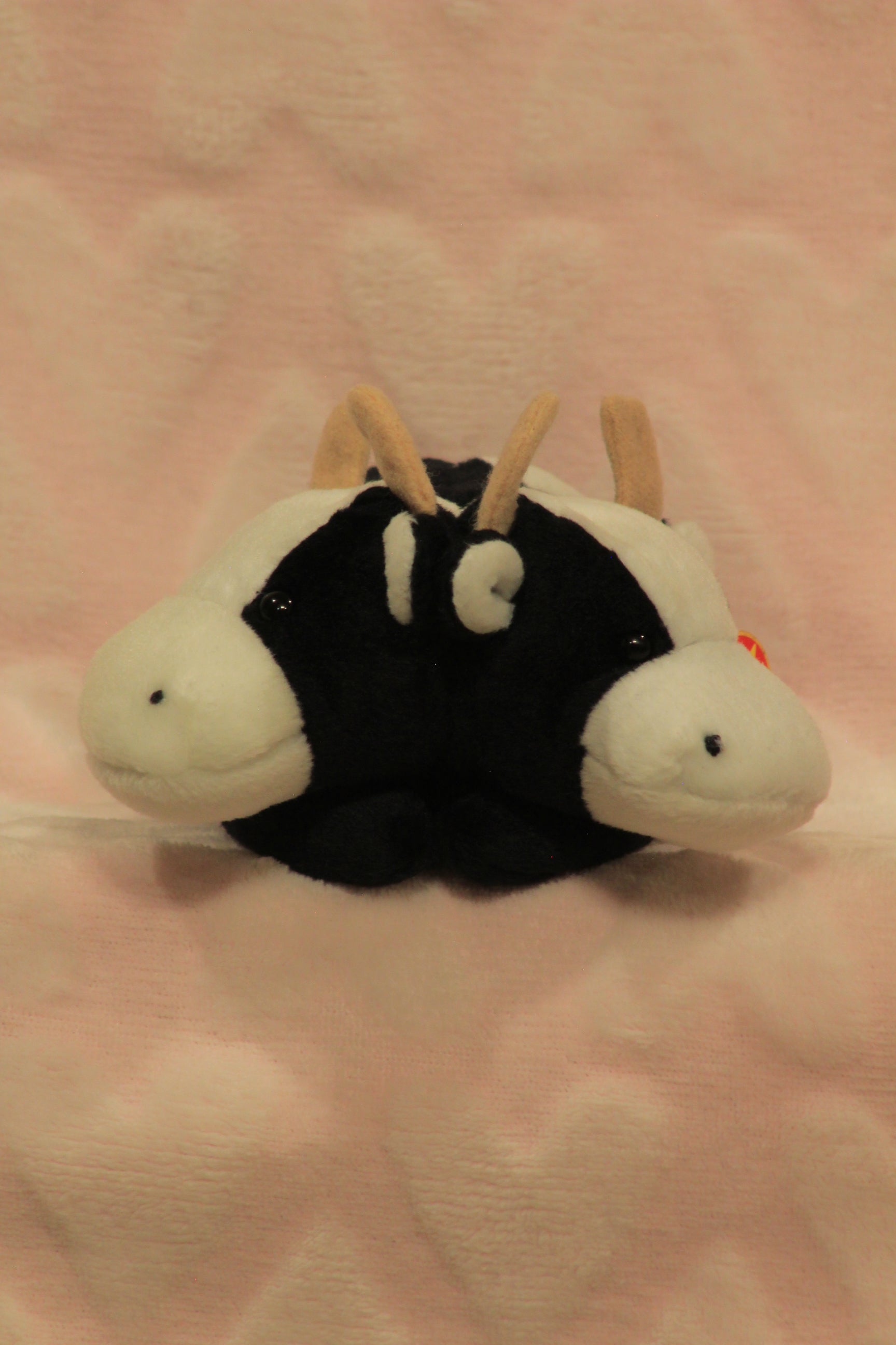 2 headed beanie baby (restocks) – Crazy Plushies