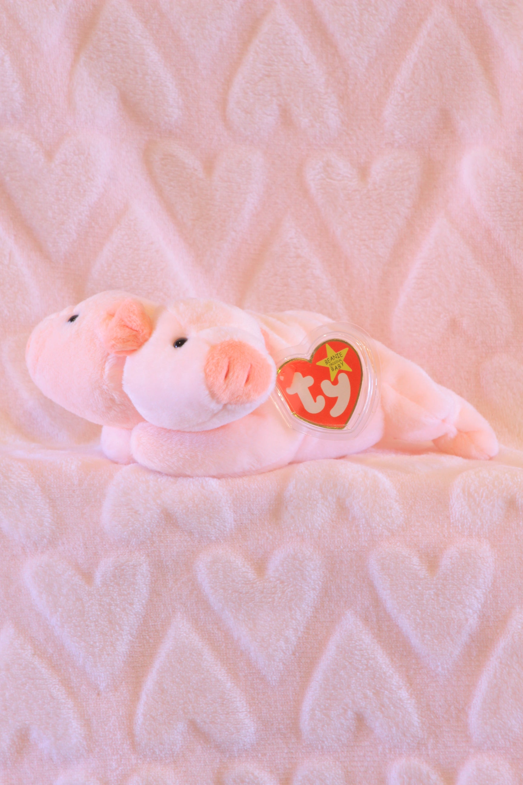 2 headed beanie baby (restocks) – Crazy Plushies