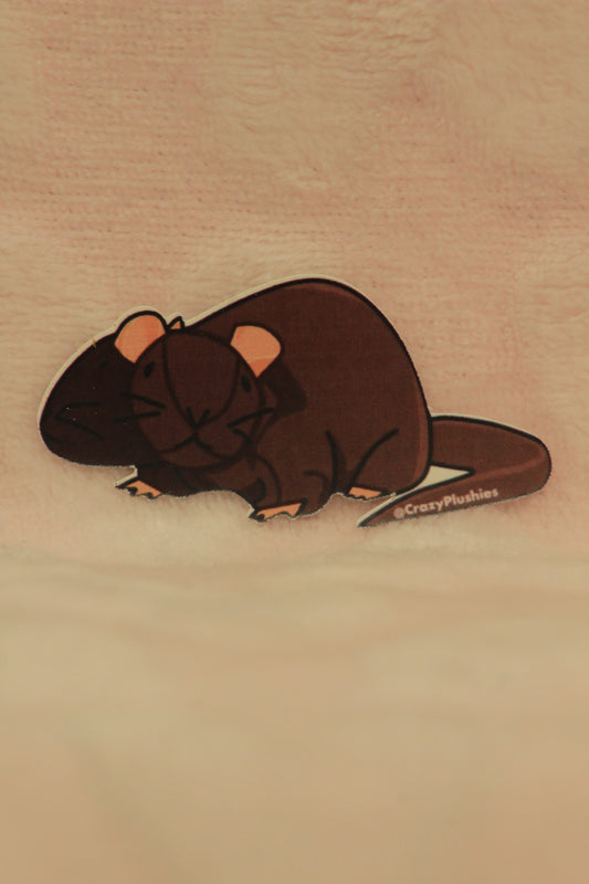 Sticker pre-order rat