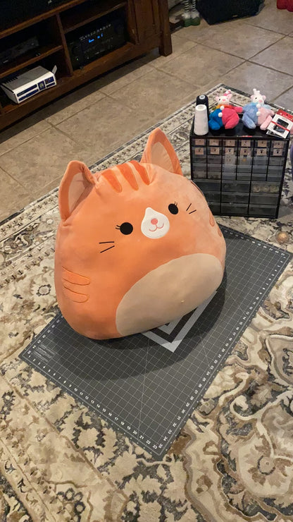 Cat squishmallow
