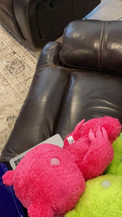 Half and half gloomy bear