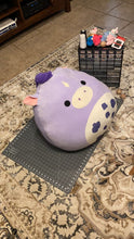 Load and play video in Gallery viewer, Horse squishmallow
